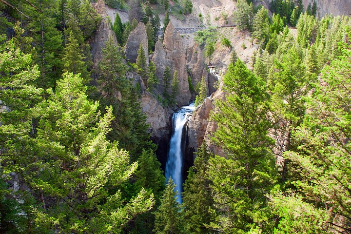 Full Day Private Tour and Hike from West Yellowstone - Photo 1 of 9